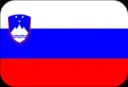 Slovenia flag